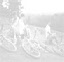 wp2bc80007_0f.jpg