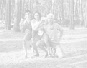 wp2fc81541_0f.jpg