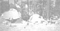wp331ceccc_0f.jpg