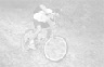 wp39772459_0f.jpg