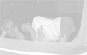 wp63d2d234_0f.jpg