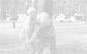 wp78d78e9b_0f.jpg
