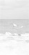 wp8c1347a3.jpg