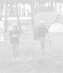 wpdf431589.jpg