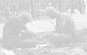wpe323f62e_0f.jpg